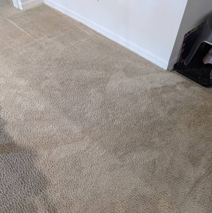 Beige carpet with water stains near a white wall.