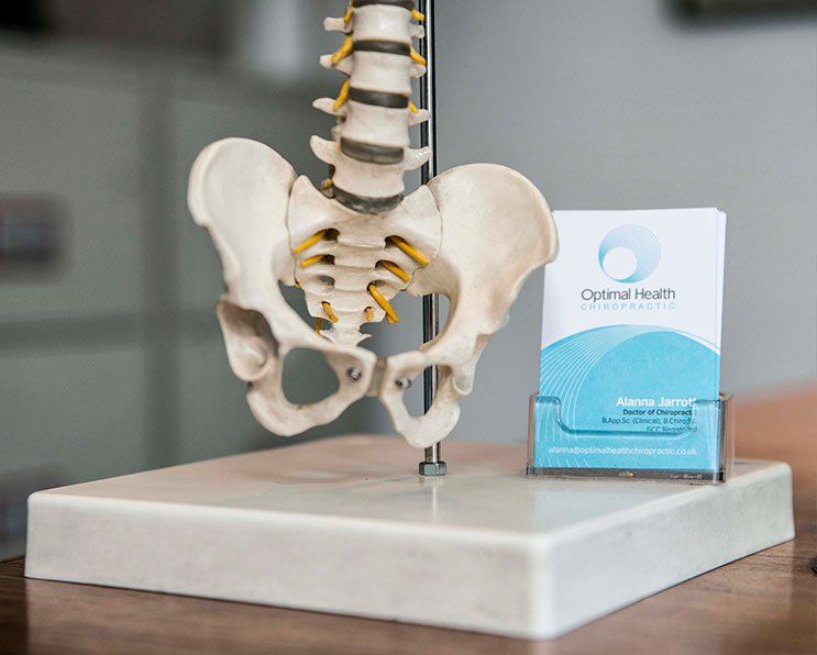 Chiropractor in Edinburgh Optimal Health Chiropractic