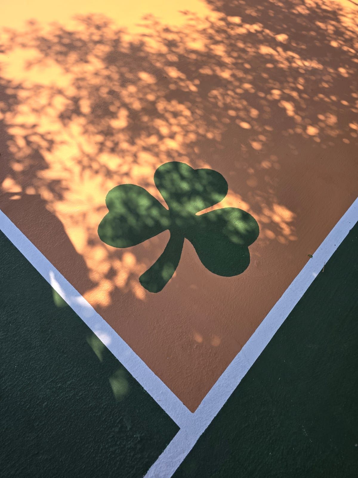 A shadow of a clover is cast on a tennis court