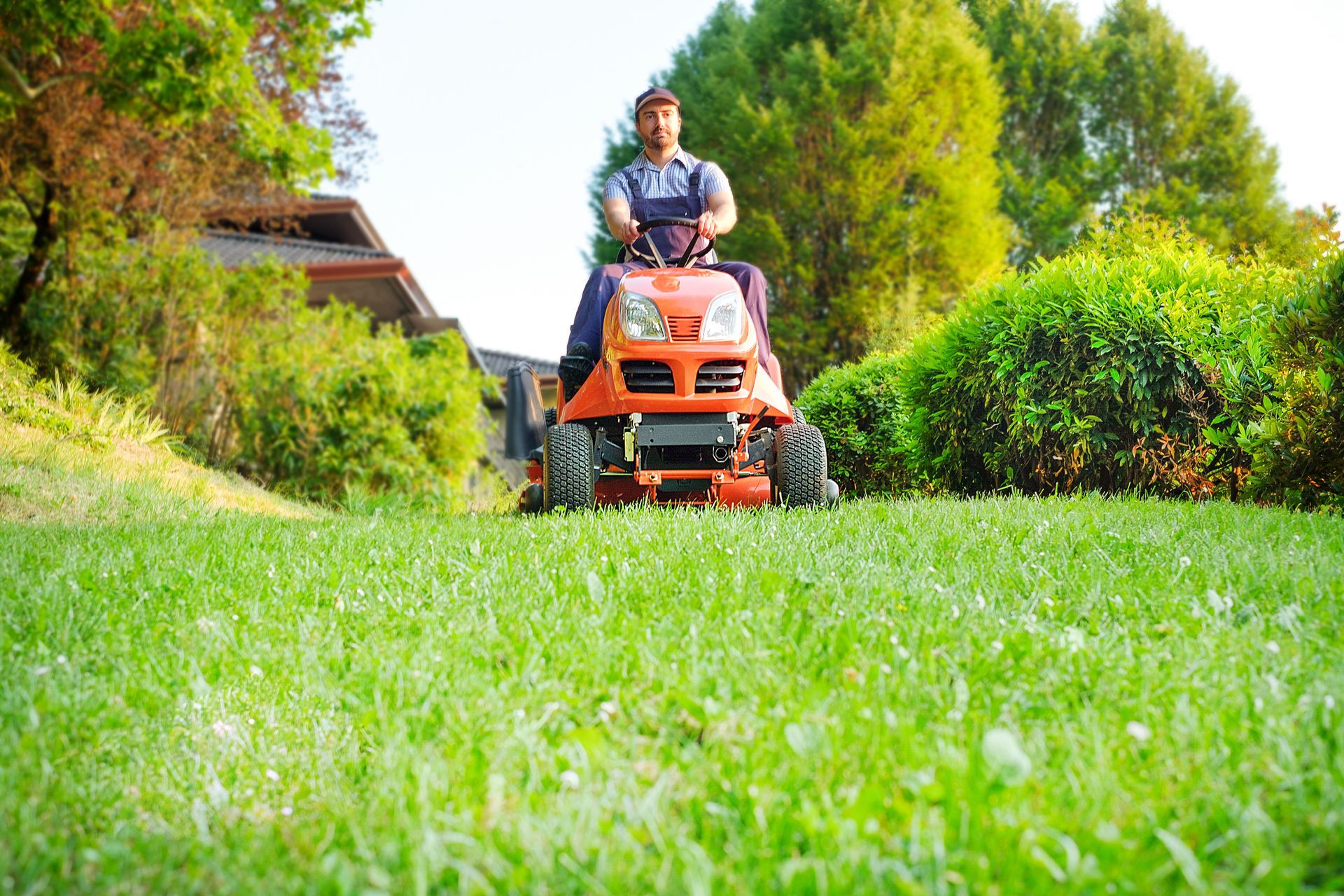 Person operating a red riding lawn mower, mowing a green lawn.