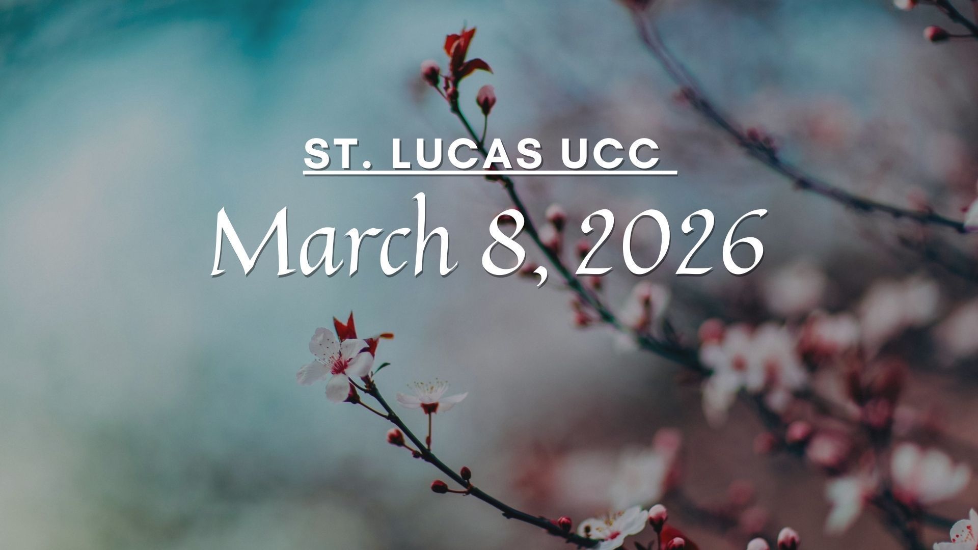 St. Lucas UCC logo over a backdrop of blurred, pink flowering branches, indicating the date March 8, 2026.