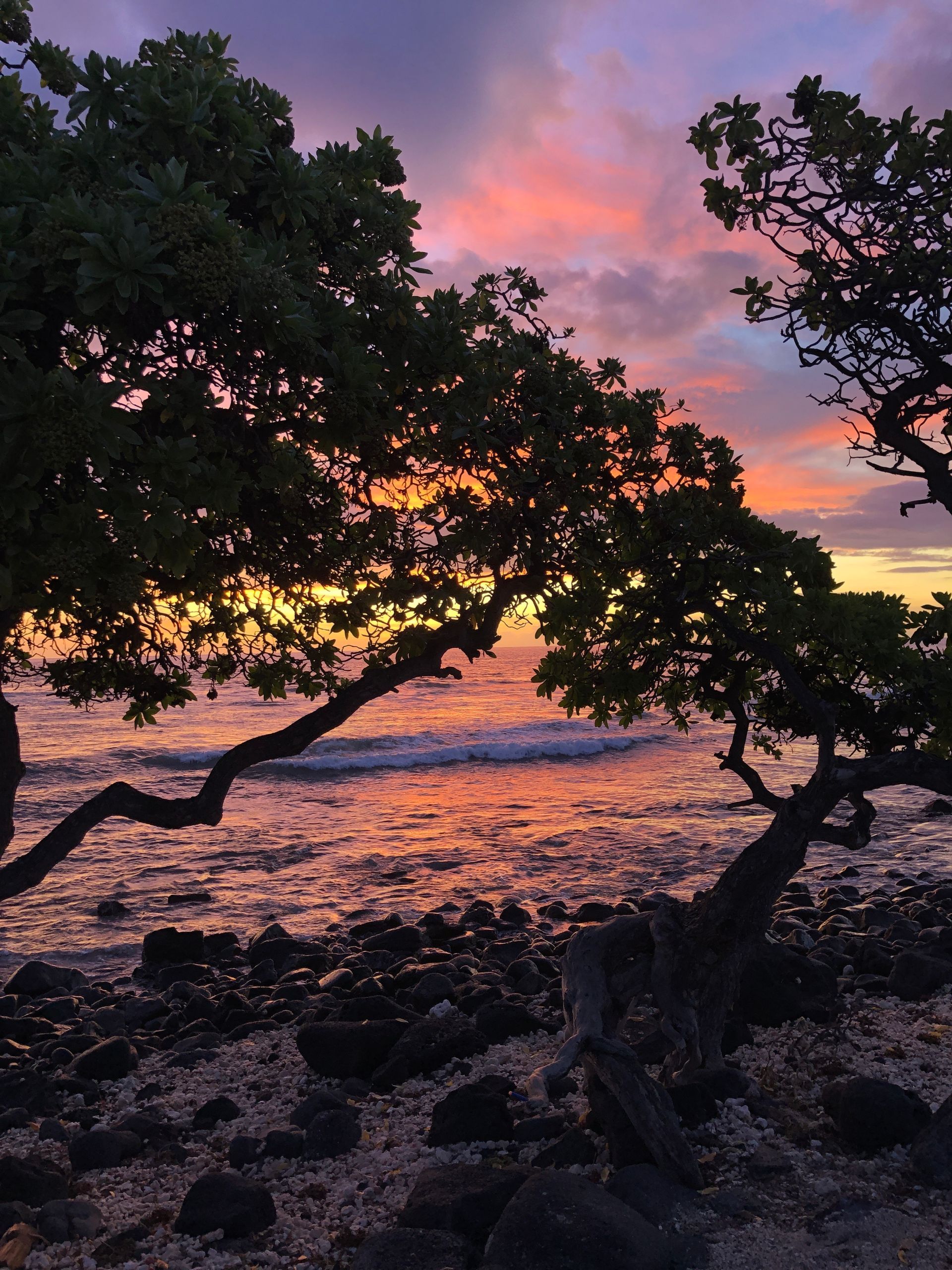 Sun setting on beach
