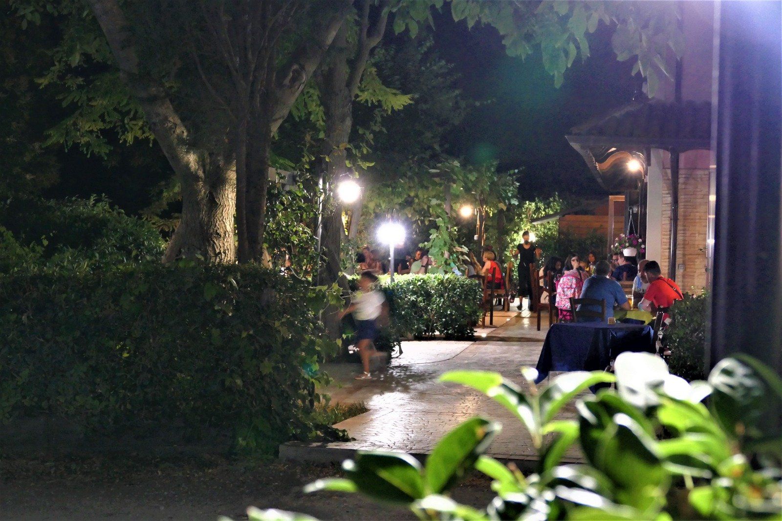 entrata dal giardino 2