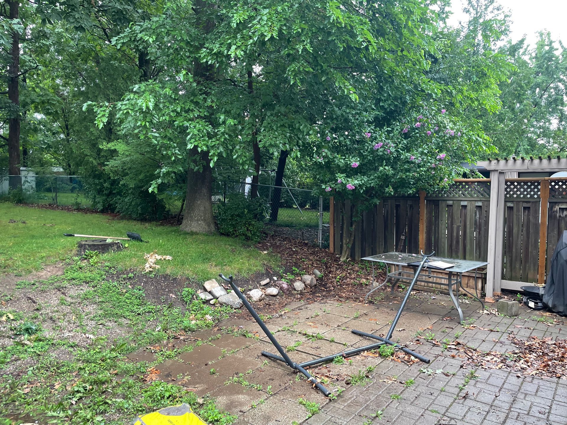 tree trimming services, tree trimming company near me