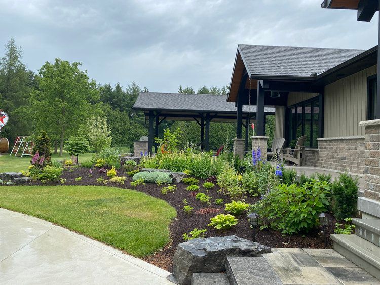 Landscaped garden yard