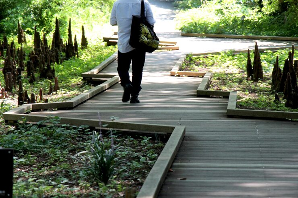 Walkway Installation