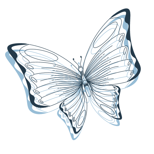 A black and white drawing of a butterfly on a white background