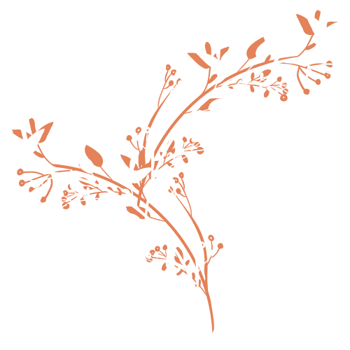 A silhouette of a plant with leaves and flowers on a white background.