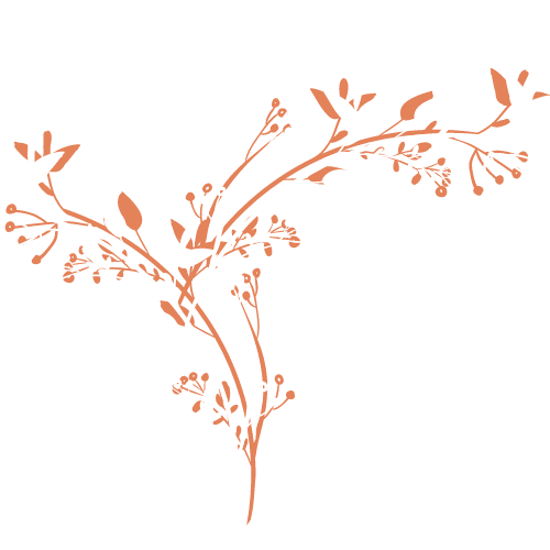 A silhouette of a plant with leaves and flowers on a white background.