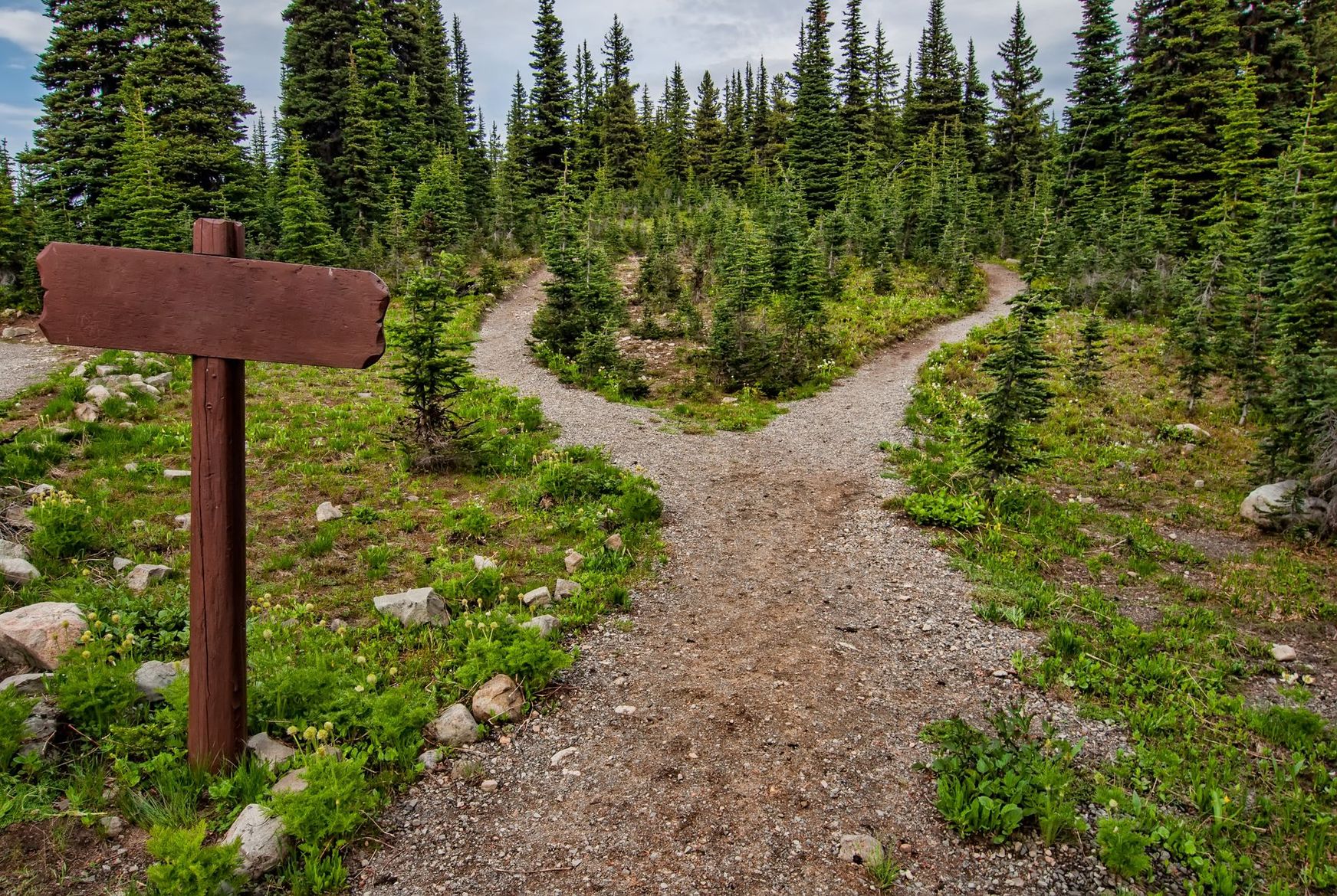 There is a wooden sign in the middle of a dirt road.