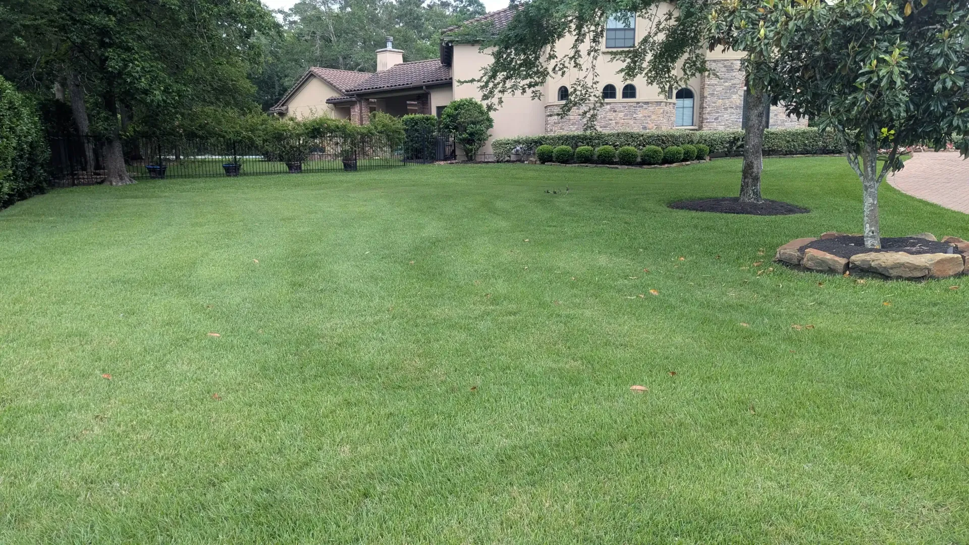 A large lush green lawn in front of a house.