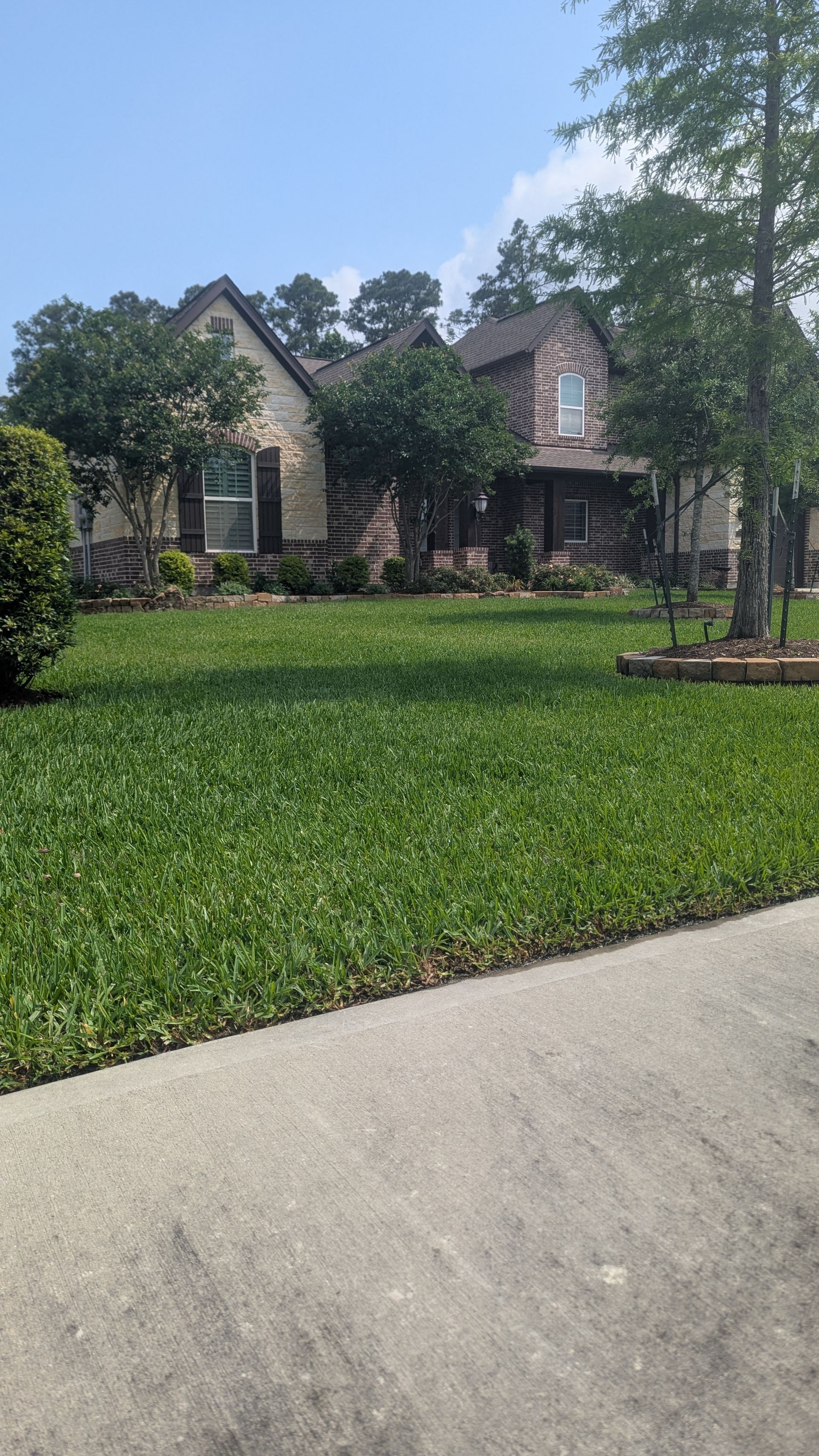 A lush green lawn in front of a house on a sunny day.