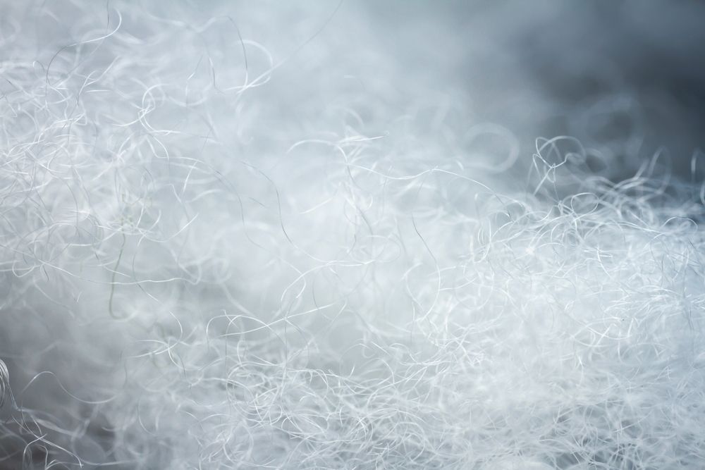 Extreme macro of polyester stable fiber.
