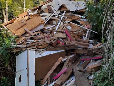 Pile of Wood is Sitting in the Middle of a Forest — Rob's Rubbish Removal in Murwillumbah, NSW