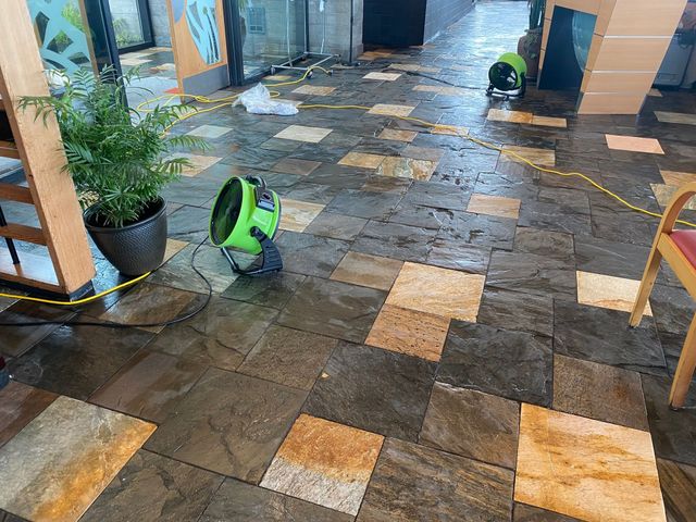 Tile cleaning services
