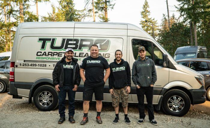 Upholstery Stain Removal Maple Valley, WA