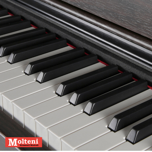 Molteni strumenti musicali Varese - Ampio assortimento strumenti ed accessori,