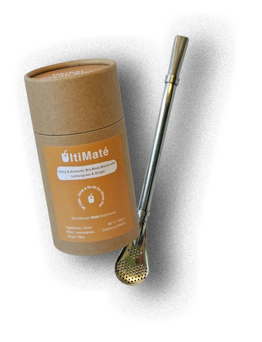 yerba maté immunity