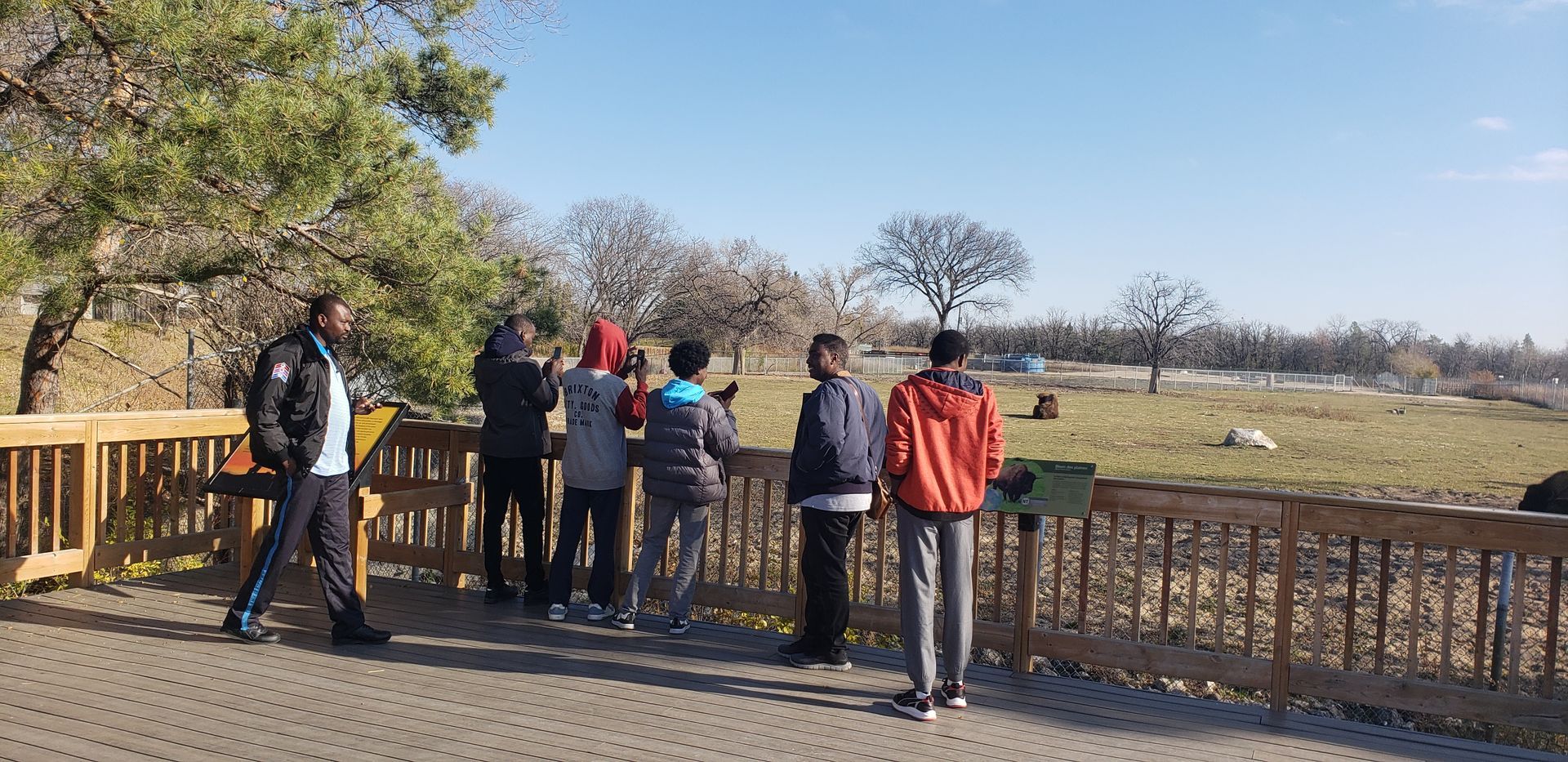 A group of people are standing on a deck looking at a field.