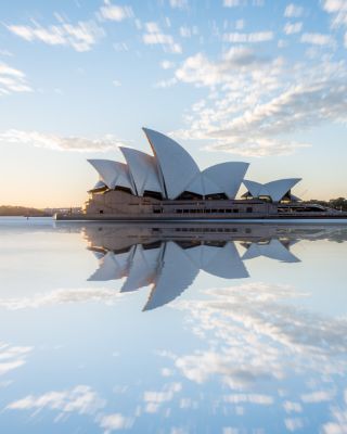 A Beach With a Lot of Rocks in the Water and Palm Trees in the Background — East-West Fire Services In Bowen, QLD