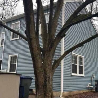 Side of a two-story house with blue siding, windows, and a large tree in front.