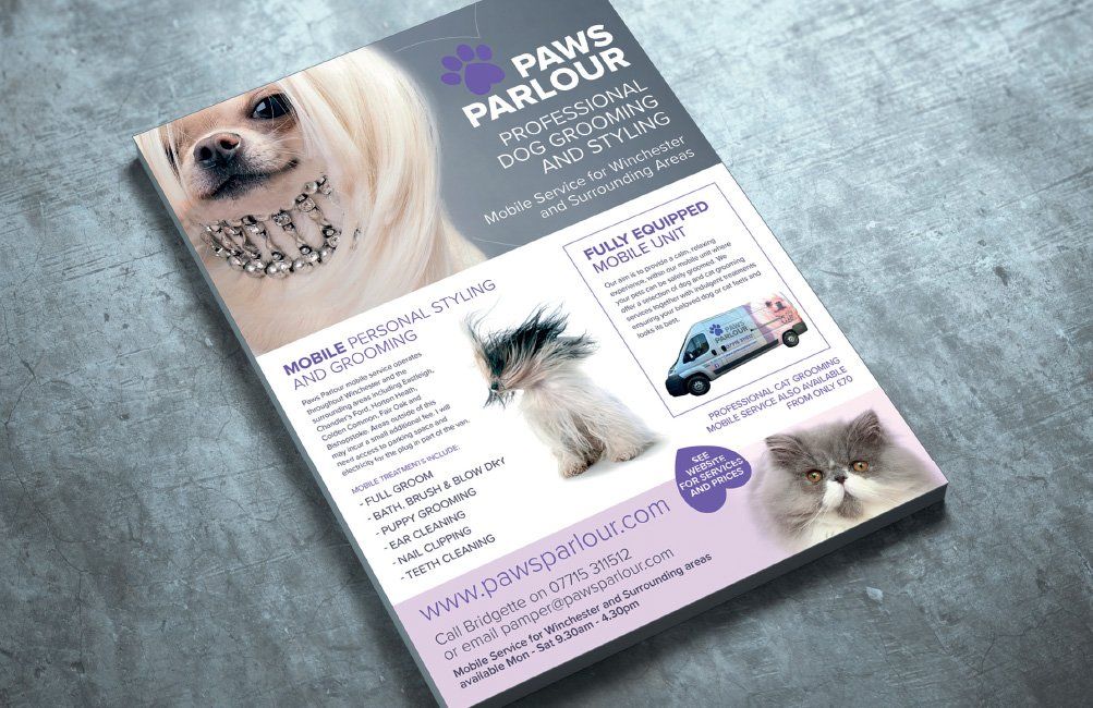 Advert Design for Paws Parlour, Winchester