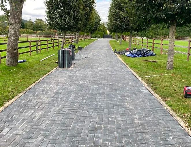 a brick driveway going through a grassy field with trees on both sides .