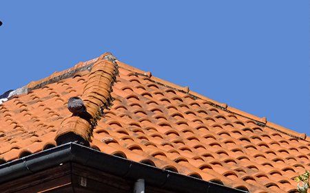 arreglo de humedades en tejado, impermeabilización del tejado en carrion de los condes, Palencia