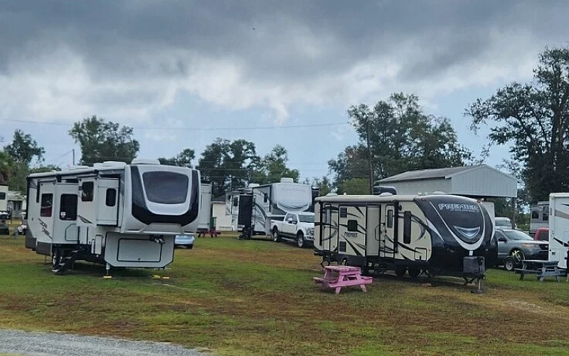 A row of rvs are parked in a grassy field.