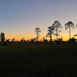 A field with trees in the foreground and a sunset in the background.