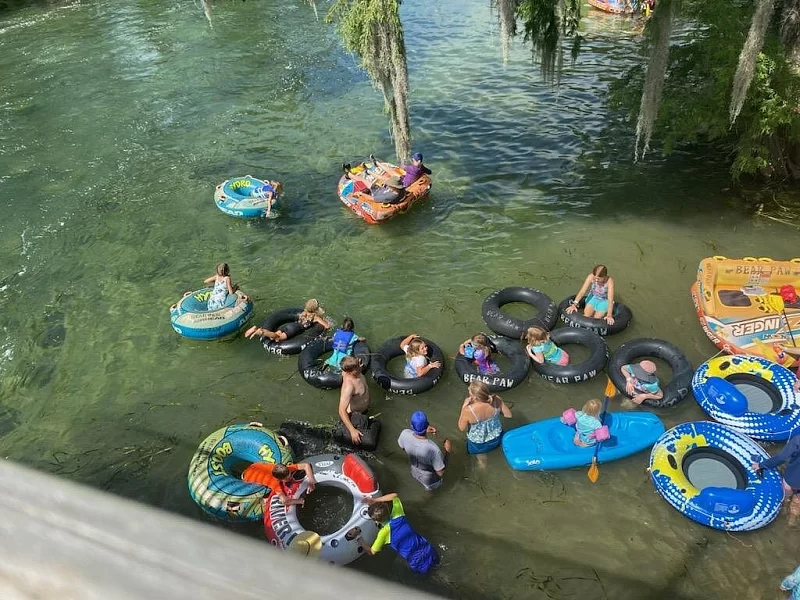 A group of people are floating on tubes in a river.