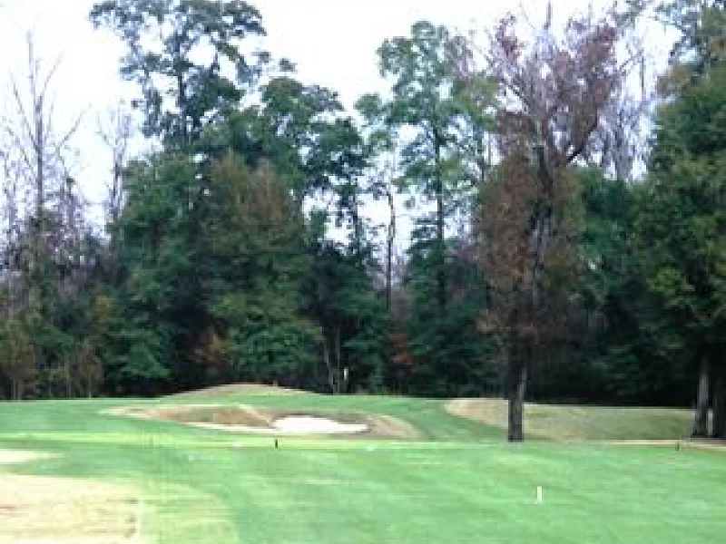 A golf course with trees on the side of it