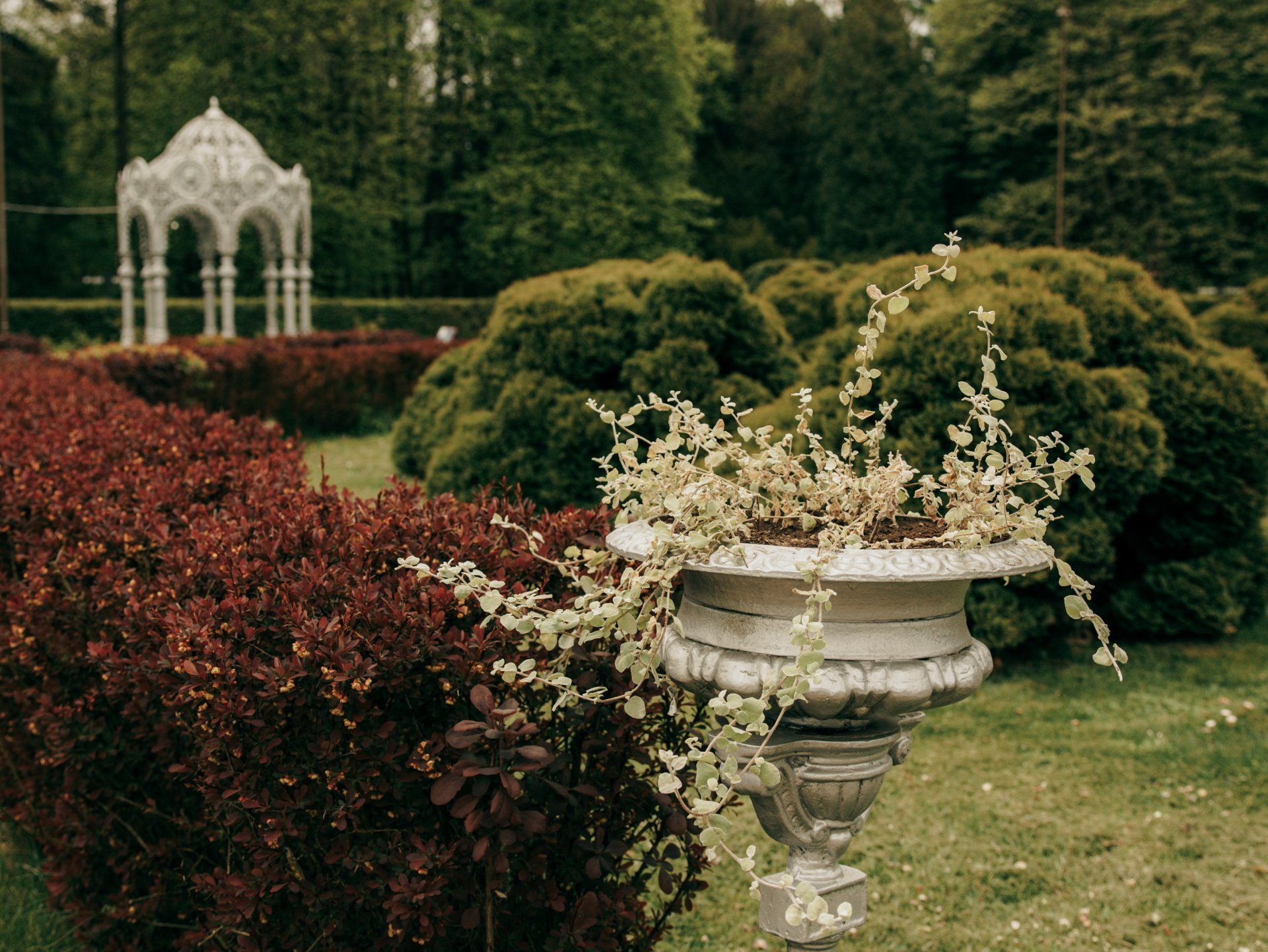 An ornate garden design