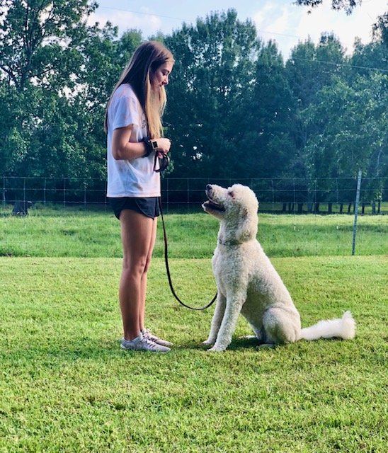 Gallery Maringo Creek Farm Dog Boarding & Training in Opelika AL
