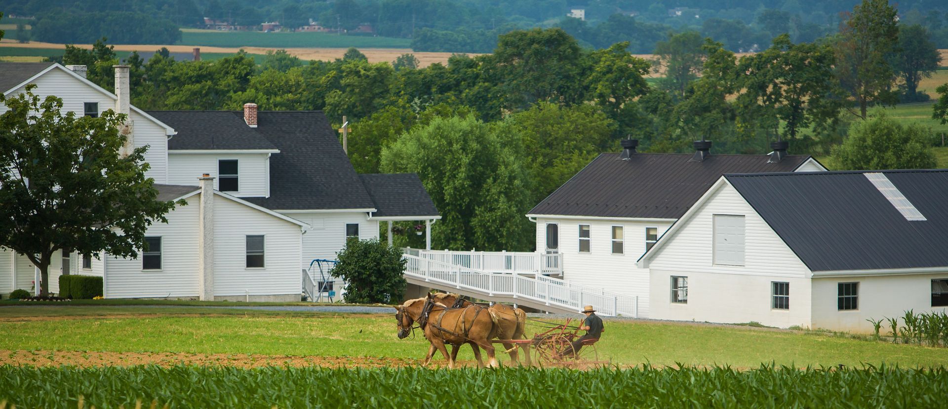 Horses plowing a field near white farmhouses. Green crops in foreground, trees and hills in the background.