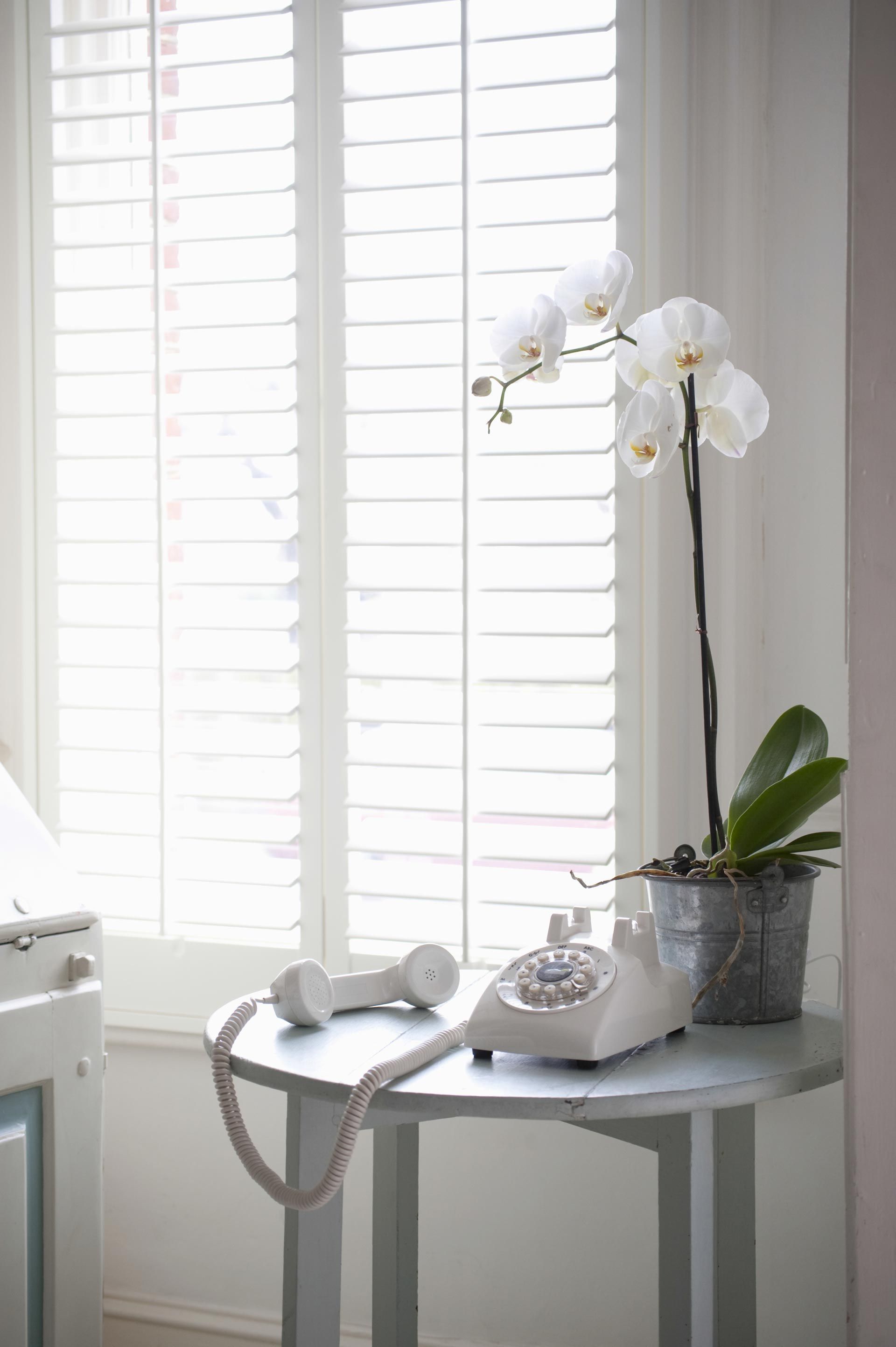 A white telephone is sitting on a table next to a potted plant.