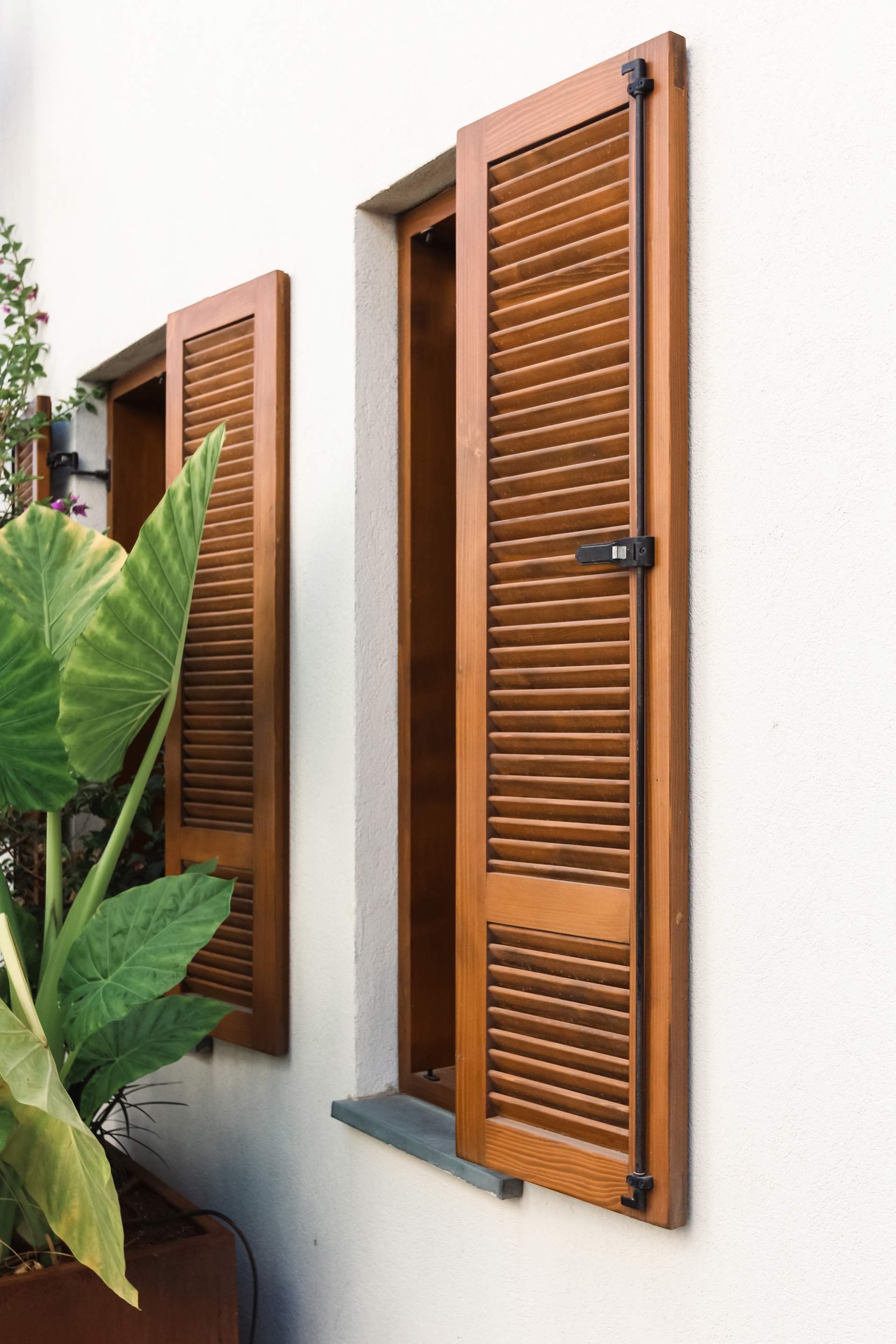 Two wooden shutters are on a white wall next to a potted plant.