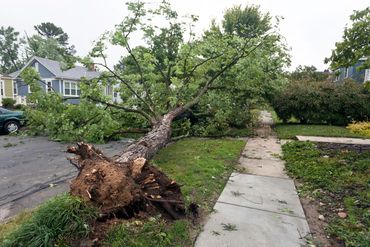 storm damage and restoration