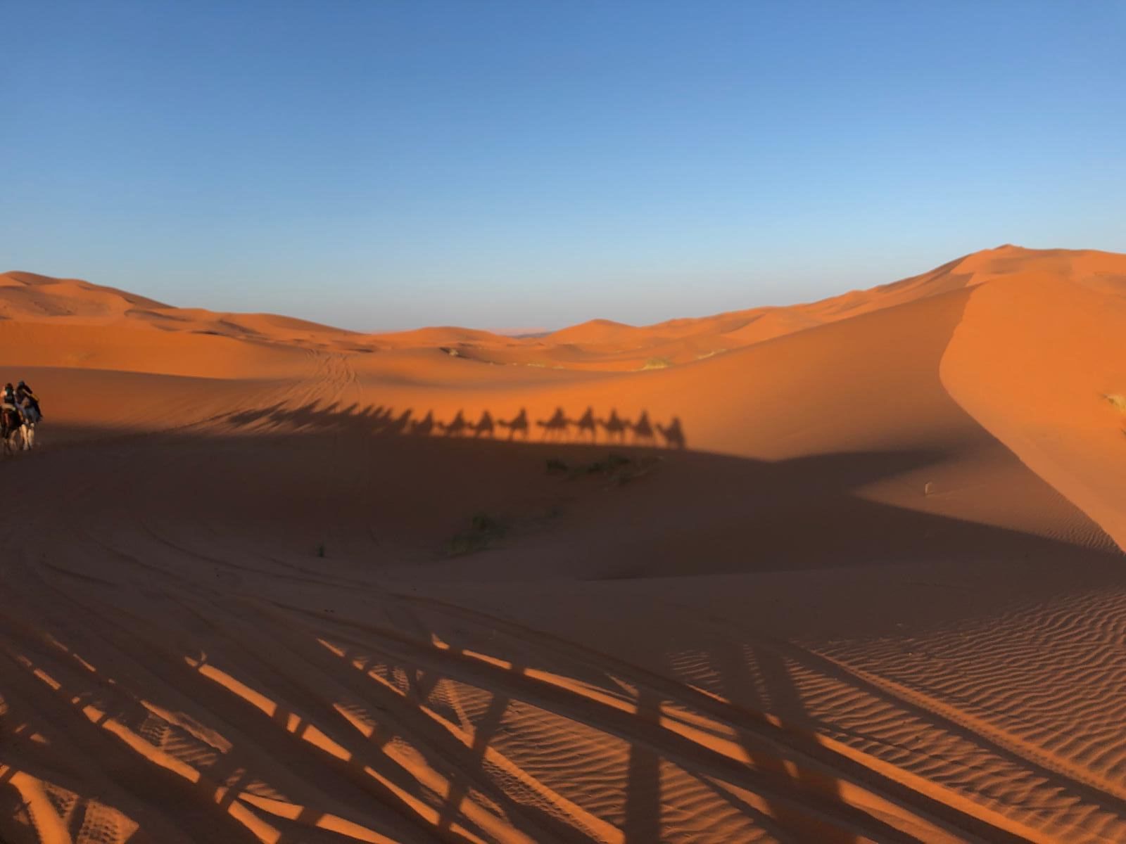 A group of people are riding camels in the desert.