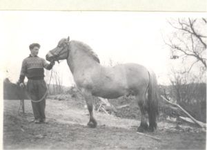 Foto: Oddbjørn Kvålsvold