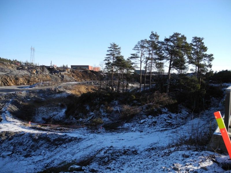 Foto:  Oddbjørn Kvålsvold