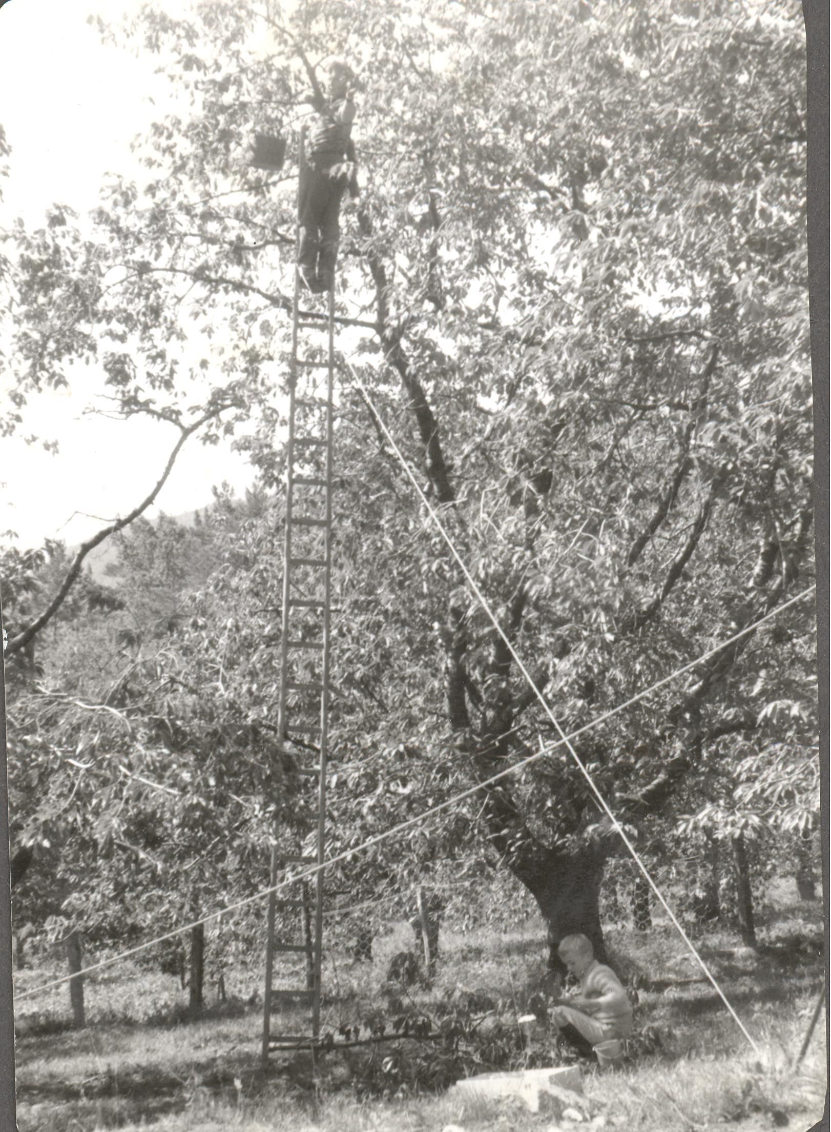 Foto: Oddbjørn Kvålsvold