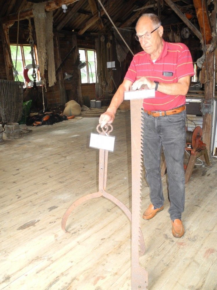  Foto: Oddbjørn Kvålsvold