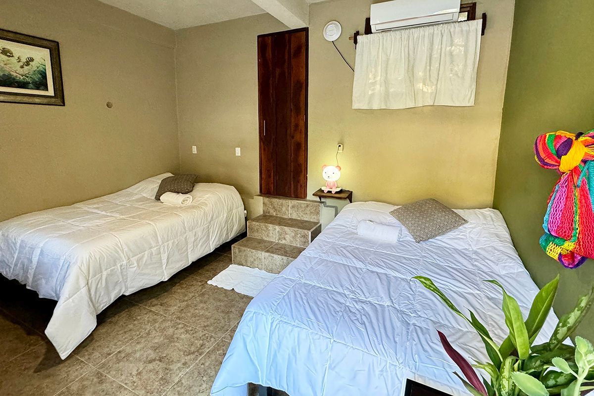 A hotel room with two beds and a plant.