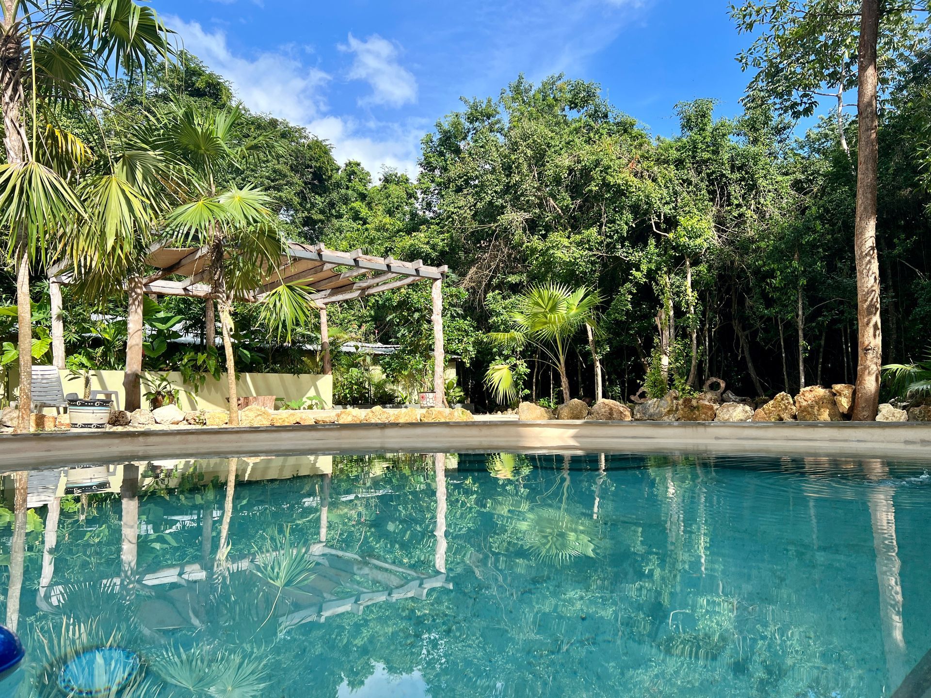 A large swimming pool surrounded by trees and a pergola