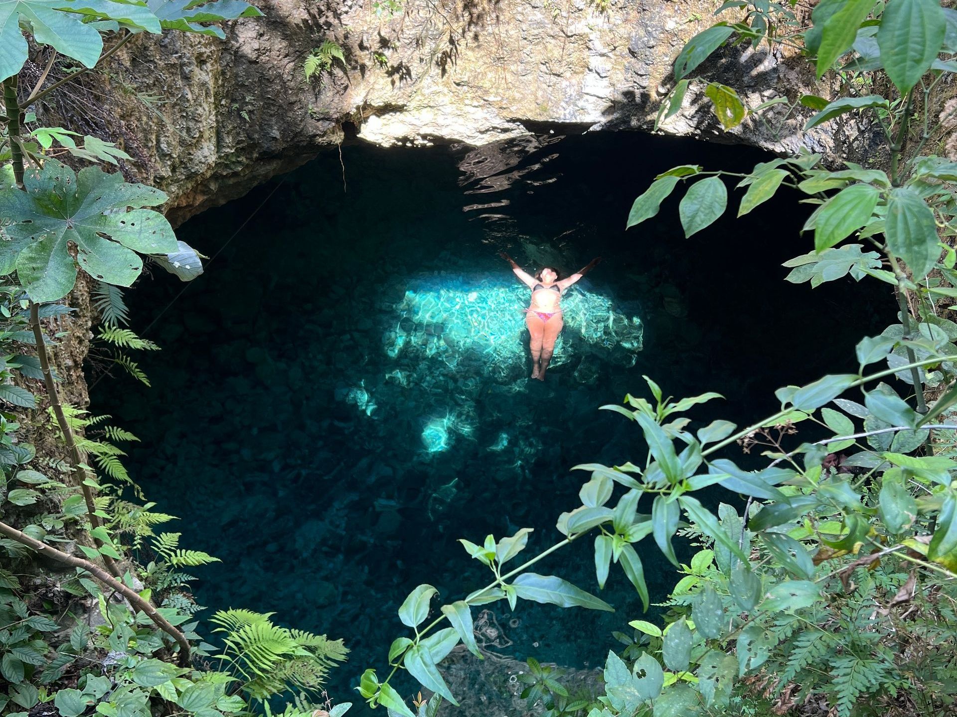 A person is swimming in a cenote surrounded by trees.
