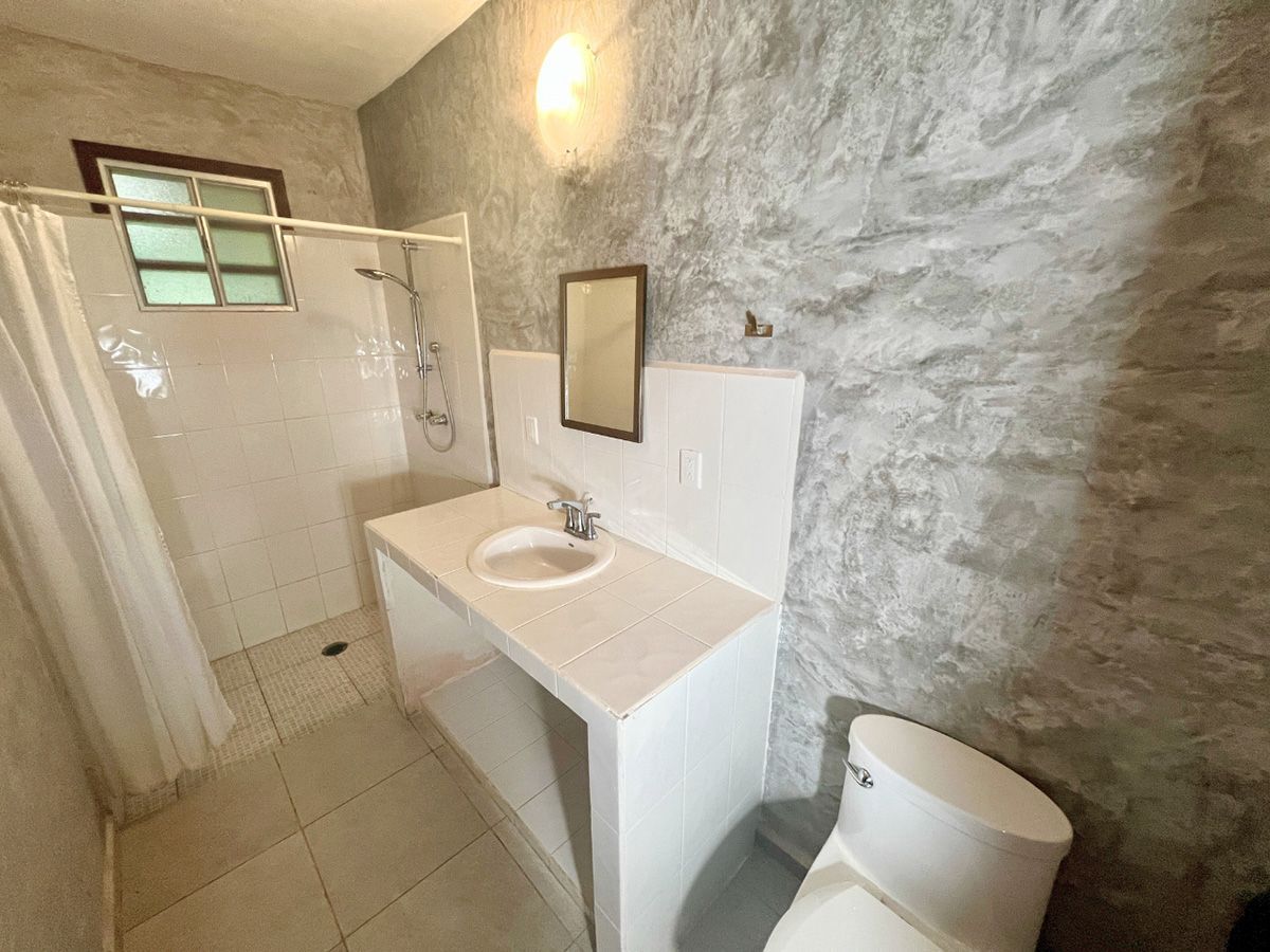 A bathroom with a toilet , sink , shower and mirror.
