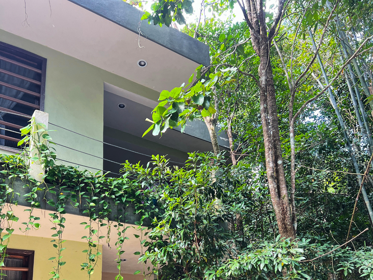 A hotel building in the middle of a jungle with trees in front of it