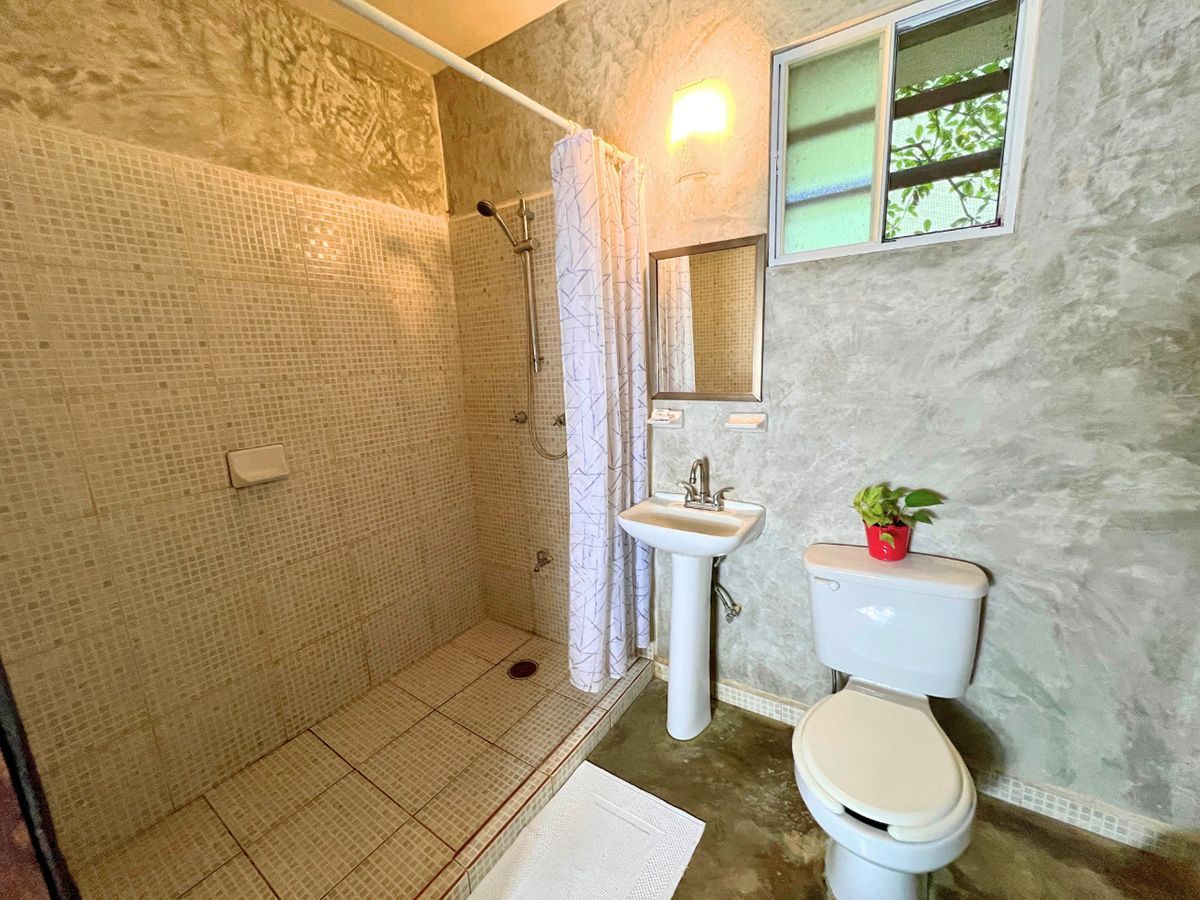 A bathroom with a toilet , sink and shower.