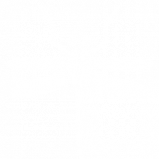 White background with subtle texture.